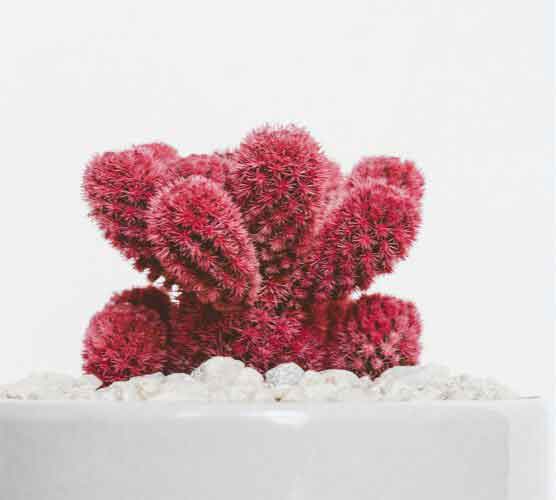 智能负载均衡的网页端ddos