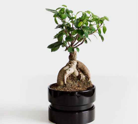 求靠谱卖家的ddos在线攻击工具